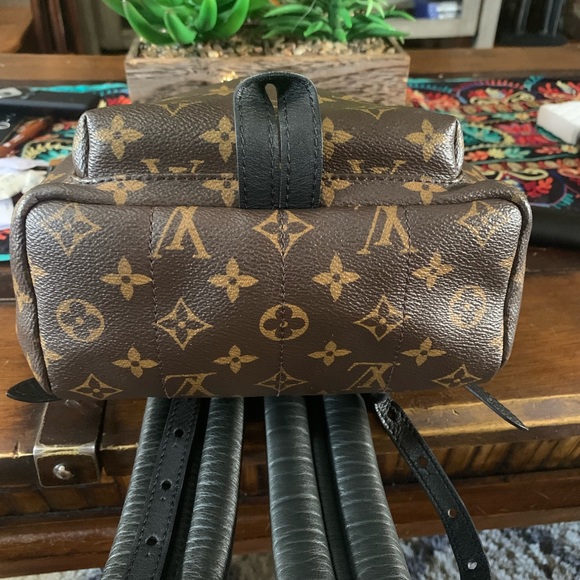 LV palm spring back pack pm - Picture 5 of 9